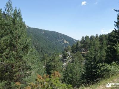 Chorro,Pinares Navafría-Baño senderista;hayedo tejera negra reservas los tejos pico de la miel fotos